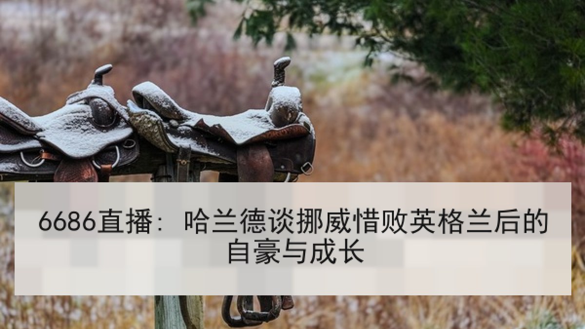 6686直播: 哈兰德谈挪威惜败英格兰后的自豪与成长